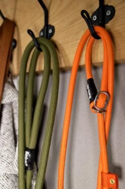 Rebel Petz - Honden Trainingslijn Met Halsband - Taupe, Zwart, Groen & Oranje - Maat Small Of Large - Kleur: Oranje, Maat: Large 36 Rebel Petz - Honden Trainingslijn Met Halsband - Taupe, Zwart, Groen & Oranje - Maat Small Of Large - Kleur: Oranje, Maat: Large -Hondenbenodigdheden 800x1200 2