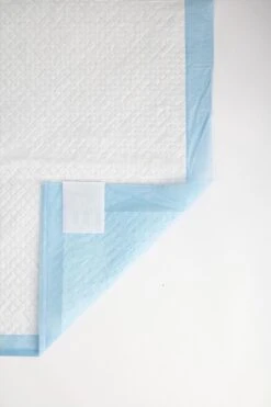 Homestyle Budget Trainingsmat - Zindelijkstraining - 100 Stuks - 58x58 Cm 11 Homestyle Budget Trainingsmat - Zindelijkstraining - 100 Stuks - 58x58 Cm -Hondenbenodigdheden 800x1200 24