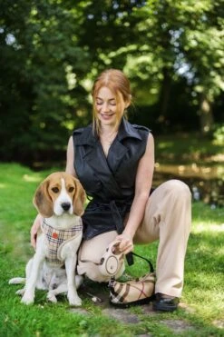 Hondenriem - Leiband Hond - Rollijn - 5 Meter - Beige - Riem Met Oprolsysteem - Hondenriem Flexi - Hondenlijn - Uitlaatriem -Hondenbenodigdheden 800x1200 9