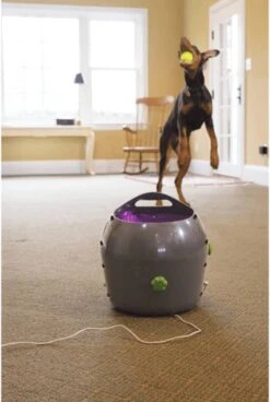 PetSafe Automatische Ballenwerper - Dierenspeelgoed -Hondenbenodigdheden 806x1200 1