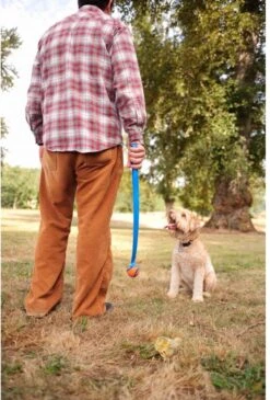 Chuckit! Chuckit Pro Ball - Werpstok - Apporteren- 25m Ver - 63 Cm -Hondenbenodigdheden 813x1200 2