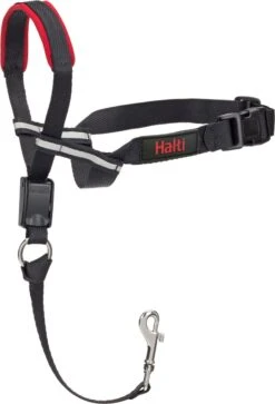 Halti OptiFit Headcollar - Hond - Anti Trekhalsband - Maat M - Voor Labrador, Boxer, Dobermann, Golden Retriever -Hondenbenodigdheden 816x1200 2