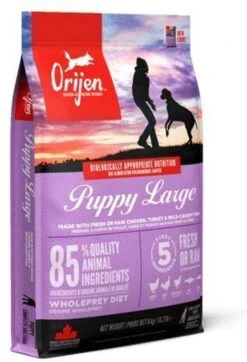 Orijen Puppy Large Breed 37 Orijen Puppy Large Breed -Hondenbenodigdheden 818x1200 3