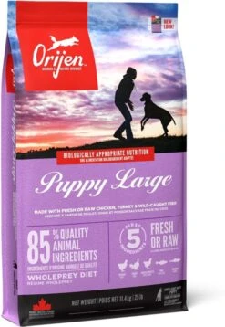 Orijen Puppy Large Breed 24 Orijen Puppy Large Breed -Hondenbenodigdheden 828x1200