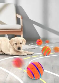 Good Experience Interactieve Hondenbal 3.0 – Honden Speelgoed Intelligentie – Puppy Speelgoed – Hondenspeeltjes – De Enige Die Werkt Met Afstandsbediening – De Veilige Bal Voor Jouw Hond – One Size – Oranje 15 Good Experience Interactieve Hondenbal 3.0 – Honden Speelgoed Intelligentie – Puppy Speelgoed – Hondenspeeltjes – De Enige Die Werkt Met Afstandsbediening – De Veilige Bal Voor Jouw Hond – One Size – Oranje -Hondenbenodigdheden 863x1200 3
