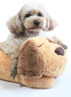 Knuffel Met Hartslag 2023 Voor Puppy's - Zacht Speelgoed - Hondenknuffel Met Hartslag - Wonderknuffel Snuggle Puppy - Knuffel Hond -Hondenbenodigdheden 888x1200 1