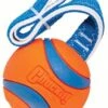 Chuckit! Chuckit Ultra Tug Medium -Hondenbenodigdheden 890x1200 1