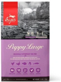 Orijen Puppy Large Breed 40 Orijen Puppy Large Breed -Hondenbenodigdheden 891x1200 2
