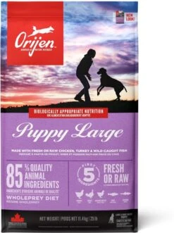 Orijen Puppy Large Breed 31 Orijen Puppy Large Breed -Hondenbenodigdheden 895x1200 1