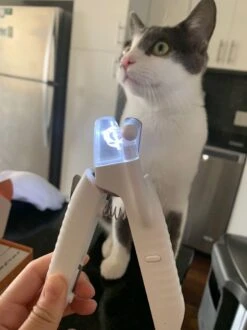 SunnyPets - Professionele Dieren Nagelknipper - Wit - Met LED En Vijl - Hond - Kat - Geschikt Voor Alle - Nageltang 13 SunnyPets - Professionele Dieren Nagelknipper - Wit - Met LED En Vijl - Hond - Kat - Geschikt Voor Alle - Nageltang -Hondenbenodigdheden 899x1200 7