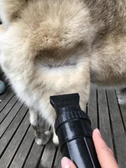 Waterblazer Hond - Hondendroger 14 Waterblazer Hond - Hondendroger -Hondenbenodigdheden 900x1200 10