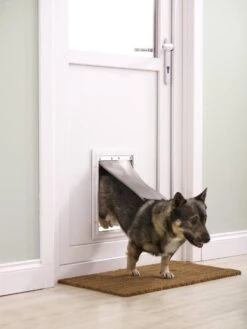 Petsafe 660 Hondenluik - Tot 100 Kg - Aluminium -Hondenbenodigdheden 900x1200 20
