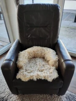 Kussen Voor Kat Of Kleine Hond | Fluffy Dierenkussen Van Pluche | Kat | Bank | Mand | Kattenmand | Kattendeken & Bankbeschermer Max. 15 Kg | Beige | Maat XS 11 Kussen Voor Kat Of Kleine Hond | Fluffy Dierenkussen Van Pluche | Kat | Bank | Mand | Kattenmand | Kattendeken & Bankbeschermer Max. 15 Kg | Beige | Maat XS -Hondenbenodigdheden 900x1200 35