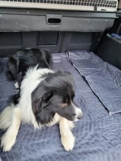 Luxe Hondendeken 200 X 150 Cm Auto Achterbank Kofferbak Vuilafstotend & Beschermend -Hondenbenodigdheden 900x1200 40