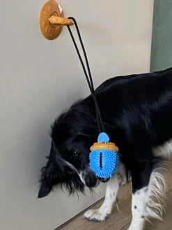 Merkloos Speelbal -Hondenspeelgoed Interactief - Hondenspeeltjes - Kauwspeelgoed Hond - 45 Cm 13 Merkloos Speelbal -Hondenspeelgoed Interactief - Hondenspeeltjes - Kauwspeelgoed Hond - 45 Cm -Hondenbenodigdheden 900x1200 42