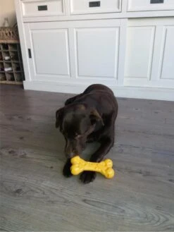 Nylabone Extreme Kauwbot Met Kaassmaak - Voor De Krachtigste Kauwers - Vulbaar Met Smeersels Zoals Pindakaas - XS/M/L - Large -Hondenbenodigdheden 900x1200 44