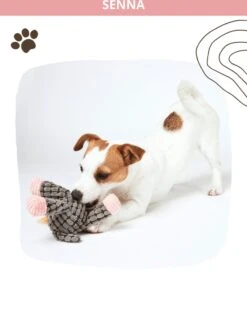 Honden Knuffel - Set Van 2 - Hondenspeelgoed Met Piep - Honden En Katten - Ezel En Giraf - Sellaio 19 Honden Knuffel - Set Van 2 - Hondenspeelgoed Met Piep - Honden En Katten - Ezel En Giraf - Sellaio -Hondenbenodigdheden 912x1200 11
