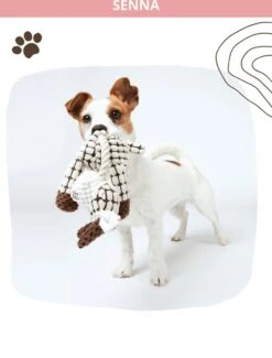 Honden Knuffel - Set Van 2 - Hondenspeelgoed Met Piep - Honden En Katten - Ezel En Giraf - Sellaio 21 Honden Knuffel - Set Van 2 - Hondenspeelgoed Met Piep - Honden En Katten - Ezel En Giraf - Sellaio -Hondenbenodigdheden 912x1200 12