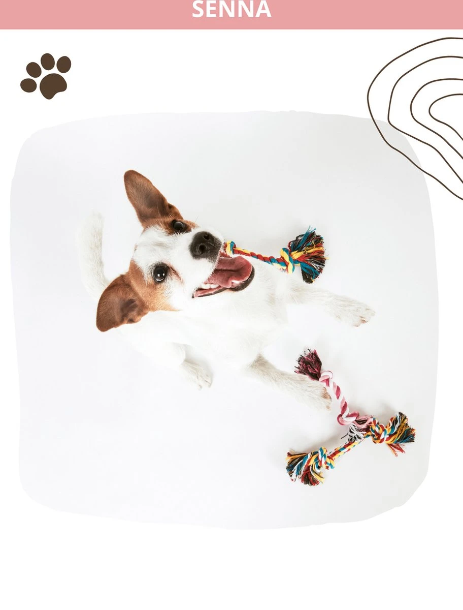 Speeltouw Hond - 3 Stuks - Speelgoed Hond - Flostouw - Hondenspeelgoed - Puppy - Trektouw 7 Speeltouw Hond - 3 Stuks - Speelgoed Hond - Flostouw - Hondenspeelgoed - Puppy - Trektouw - Afbeelding 5