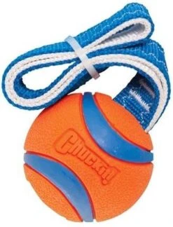Chuckit! Chuckit Ultra Tug – Hondenspeelgoed - Blauw/Oranje – Large - ø 7 Cm 19 Chuckit! Chuckit Ultra Tug – Hondenspeelgoed - Blauw/Oranje – Large - ø 7 Cm -Hondenbenodigdheden 914x1200 4
