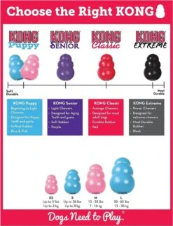 Kong Puppy - Hondenspeelgoed - Assorti - L 27 Kong Puppy - Hondenspeelgoed - Assorti - L -Hondenbenodigdheden 917x1200 1