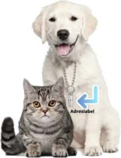 Merkloos Zelfverwarmende Dierendeken Zonder Stroom Thermo Deken Hond Kat Inclusief Adreslabel 70 X 47 Cm -Hondenbenodigdheden 920x1200 2