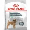 Royal Canin Ccn Dental Care Mini - Hondenvoer - 3 Kg 2 Royal Canin Ccn Dental Care Mini - Hondenvoer - 3 Kg -Hondenbenodigdheden 928x1200