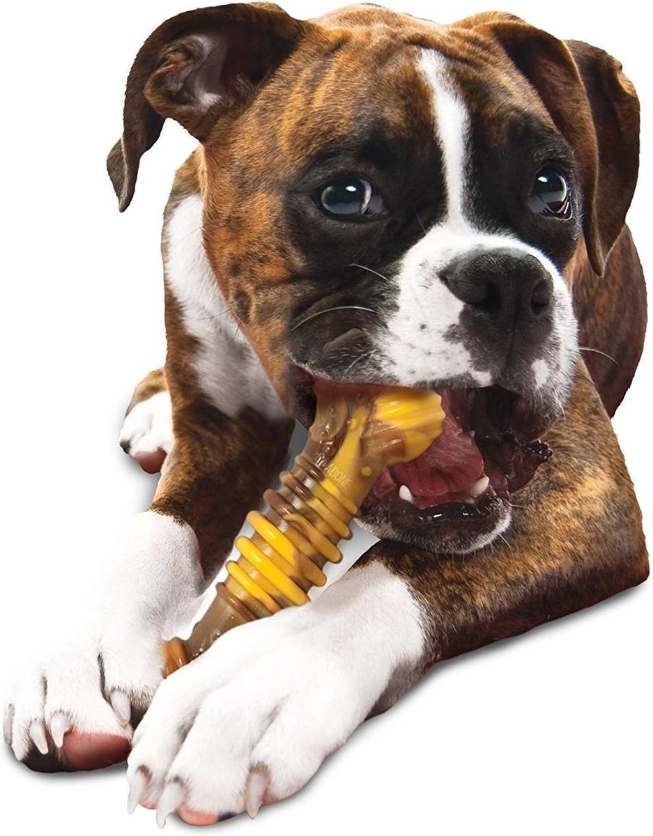 Nylabone Extreme Kauwbot Met Rund- En Kaassmaak - Voor Krachtige Kauwers - In S/M/XL - X-Large 12 Nylabone Extreme Kauwbot Met Rund- En Kaassmaak - Voor Krachtige Kauwers - In S/M/XL - X-Large - Afbeelding 10