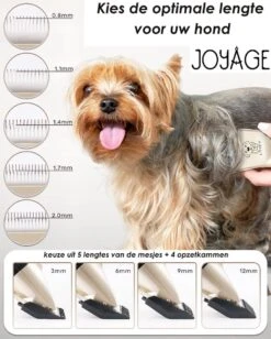 Joyage Professionele Hondentondeuse Voor Dikke Vacht – Honden Tondeuse & Hondentrimmer Tondeuse – Stille Tondeuse Katten & Honden Trimset Lang Haar – Trimmer Hond - Hondentondeuse Draadloos - Tondeuse Voor Honden - Tondeuse Hond Dikke Vacht 11 Joyage Professionele Hondentondeuse Voor Dikke Vacht – Honden Tondeuse & Hondentrimmer Tondeuse – Stille Tondeuse Katten & Honden Trimset Lang Haar – Trimmer Hond - Hondentondeuse Draadloos - Tondeuse Voor Honden - Tondeuse Hond Dikke Vacht -Hondenbenodigdheden 962x1200 2