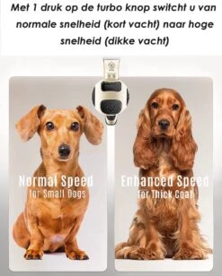 Joyage Professionele Hondentondeuse Voor Dikke Vacht – Honden Tondeuse & Hondentrimmer Tondeuse – Stille Tondeuse Katten & Honden Trimset Lang Haar – Trimmer Hond - Hondentondeuse Draadloos - Tondeuse Voor Honden - Tondeuse Hond Dikke Vacht 12 Joyage Professionele Hondentondeuse Voor Dikke Vacht – Honden Tondeuse & Hondentrimmer Tondeuse – Stille Tondeuse Katten & Honden Trimset Lang Haar – Trimmer Hond - Hondentondeuse Draadloos - Tondeuse Voor Honden - Tondeuse Hond Dikke Vacht -Hondenbenodigdheden 962x1200 3