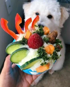 West Paw Toppl Zogoflex - Uitdagend En Sterk Speelgoed Voor Honden - Slowfeeder - Vulbaar Met Voer Of Snacks - Kleur: Groen, Maat: Large -Hondenbenodigdheden 962x1200 5