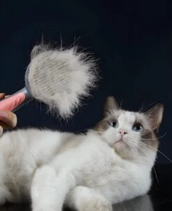 Pakeway T9 - Kattenborstel - Zelfreinigende Kattenkam - Roze - Massageborstel - 19,3 Cm -Hondenbenodigdheden 983x1200