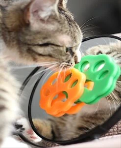 Merkloos Haarverwijderaar Huisdieren - 4 Stuks - Haarverwijderaar Wasmachine - Kattenhaar Verwijderaar - Hondenhaar Verwijderaar - Dierenborstel - 4 Stuks 16 Merkloos Haarverwijderaar Huisdieren - 4 Stuks - Haarverwijderaar Wasmachine - Kattenhaar Verwijderaar - Hondenhaar Verwijderaar - Dierenborstel - 4 Stuks -Hondenbenodigdheden 986x1200